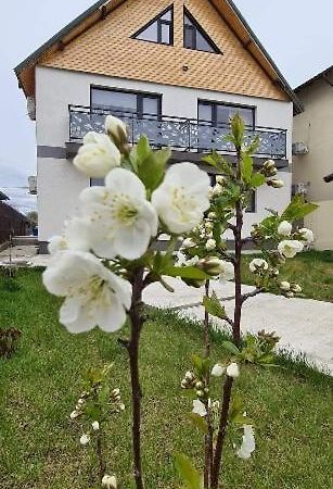Готель Casuta Noastra - Суліна Екстер'єр фото